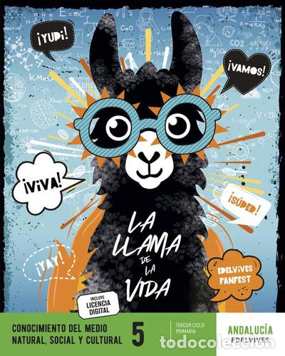 Libros: CONOCIMIENTO MEDIO 5&ordm;EP ANDALUCIA 23 FANFEST - AA.VV