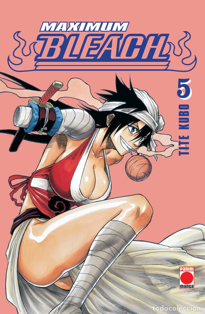 Libros: MAXIMUM BLEACH 5 - AA.VV.