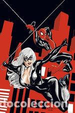 Libros: MARVEL MUST HAVE SPIDERMAN LA GATA NEGRA EL MAL QUE HACEN - TERRY DODSON
