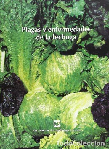 B&uuml;cher: PLAGAS Y ENFERMEDADES DE LA LECHUGA - THE AMERICAN PHYTOPATHOLOGICAL SOCIETY
