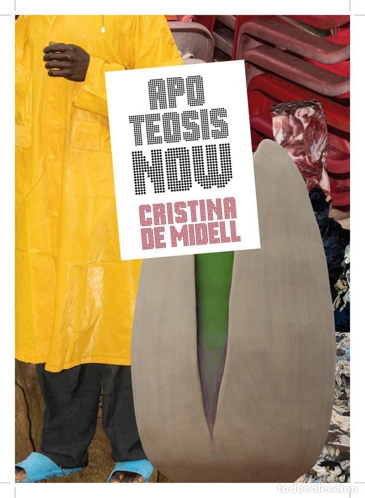 books: APOTEOSIS NOW ENGLISH EDITION - DE MIDDEL, CRISTINA