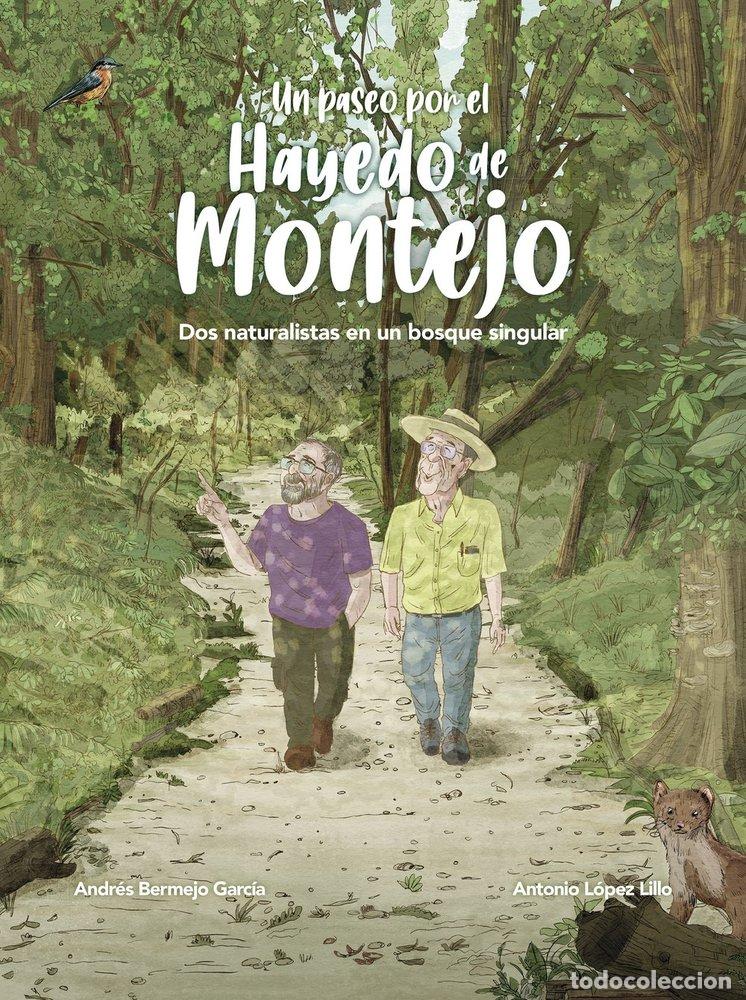 Libros: UN PASEO POR EL HAYEDO DE MONTEJO - LOPEZ LILLO, ANTONIO