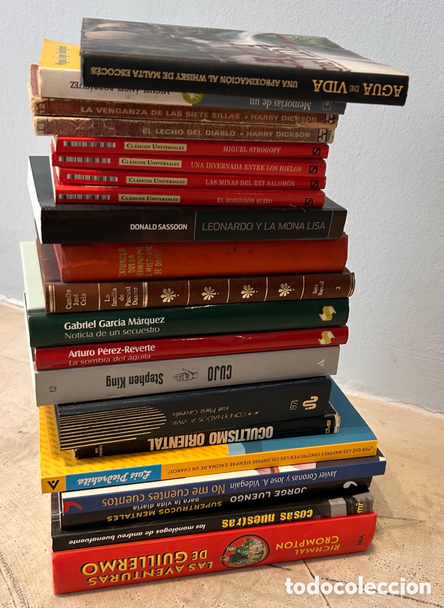 Libros: Lote de 21 libros usados &ndash; Literatura, cl&aacute;sicos y tem&aacute;tica variada