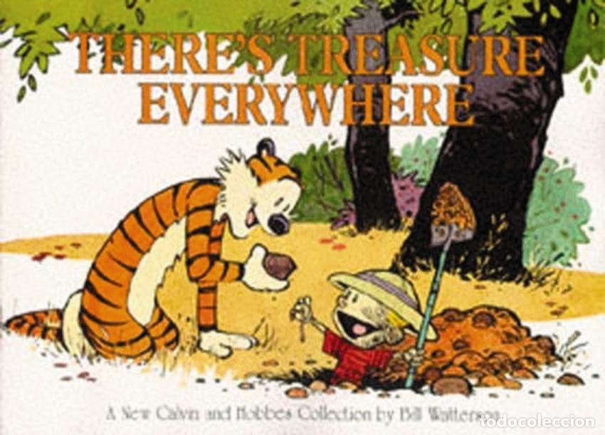 Livres: THERE'S TREASURE EVERYWHERE - Watterson, Bill