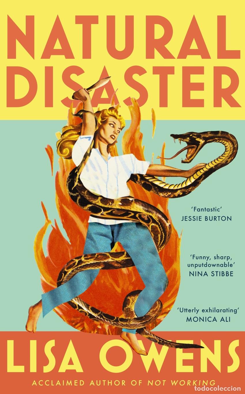 Libri: NATURAL DISASTER - Lisa Owens
