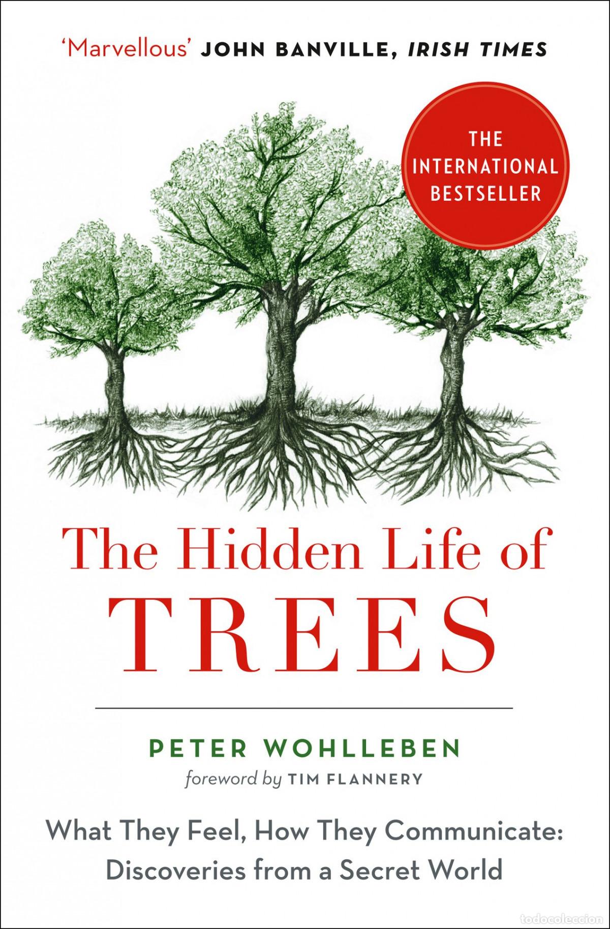 Libri: THE HIDDEN LIFE OF TREES - Wohlleben, Peter