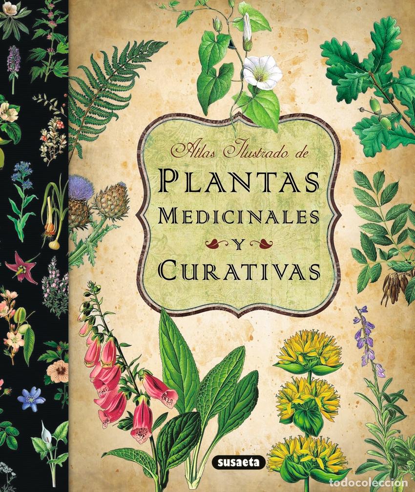 Libros: ATLAS ILUSTRADO DE LAS PLANTAS MEDICINALES Y CURATIVAS - Susaeta, Equipo