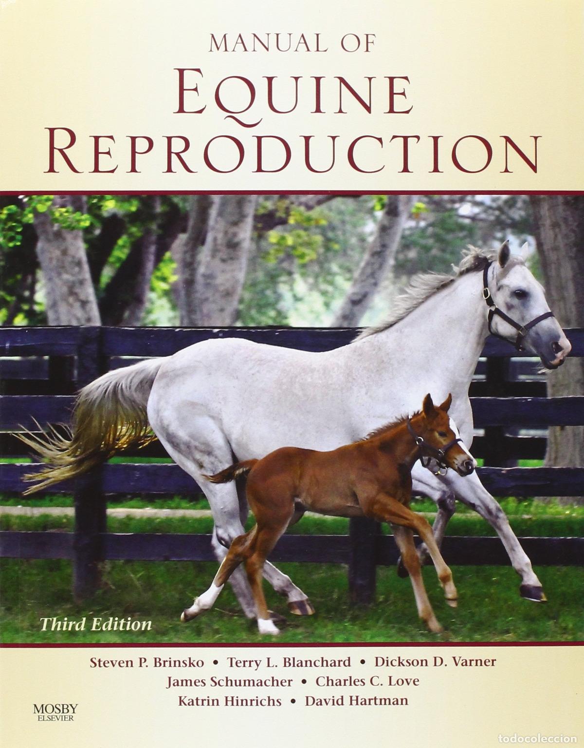 Libros: MANUAL OF EQUINE REPRODUCTION - Brinsko, Steven