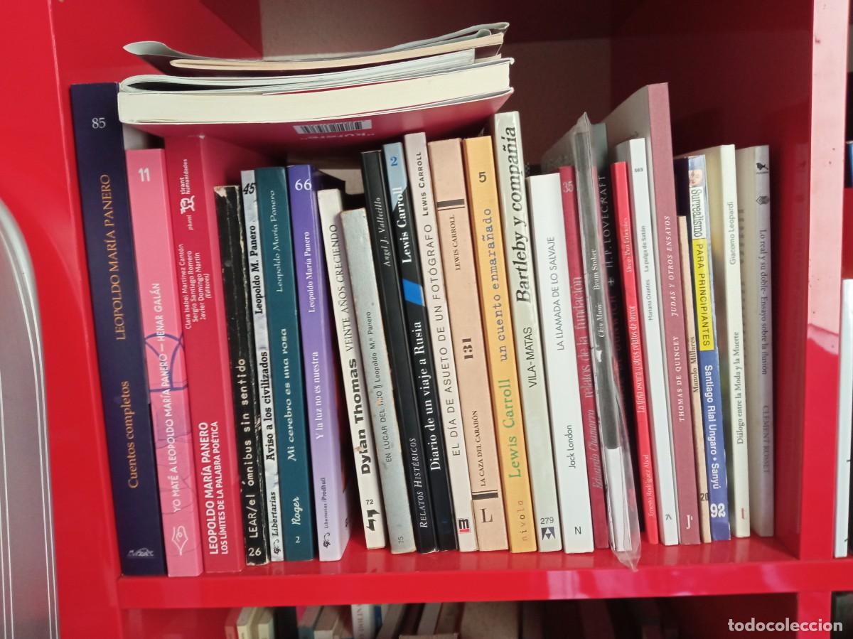 Libros: Leopoldo Mar&iacute;a Panero. Los l&iacute;mites de la palabra po&eacute;tica. Ensayos