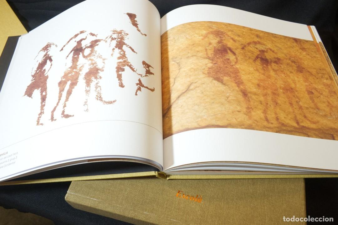 Libros: Moltes Vides. Animetes. Els Nemadi.