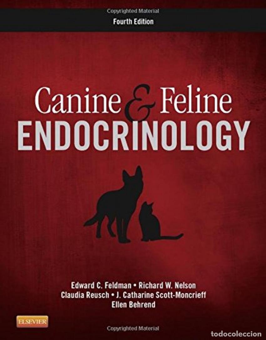 Libros: CANINE AND FELINE ENDOCRINOLOGY - Feldman, Edward