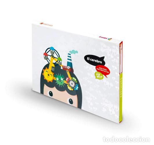 Livres: CEREBRO 5A&Ntilde;OS EI 15 LO VES EDEVAR09E - JIM&Eacute;NEZ QUINTO, LAURA