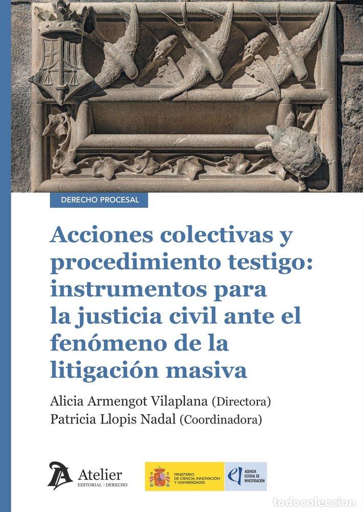 Livres: ACCIONES COLECTIVAS Y PROCEDIMIENTO TESTIGO INSTRUMENTOS PA - ALICIA ARMENGOT VILAPLANA