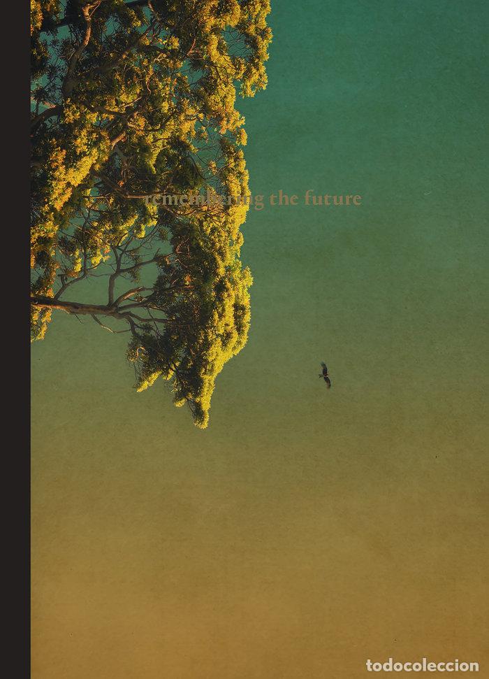 Libros: ALBARRAN ANGEL REMEMBERING THE FUTURE - CABRERA, ANNA