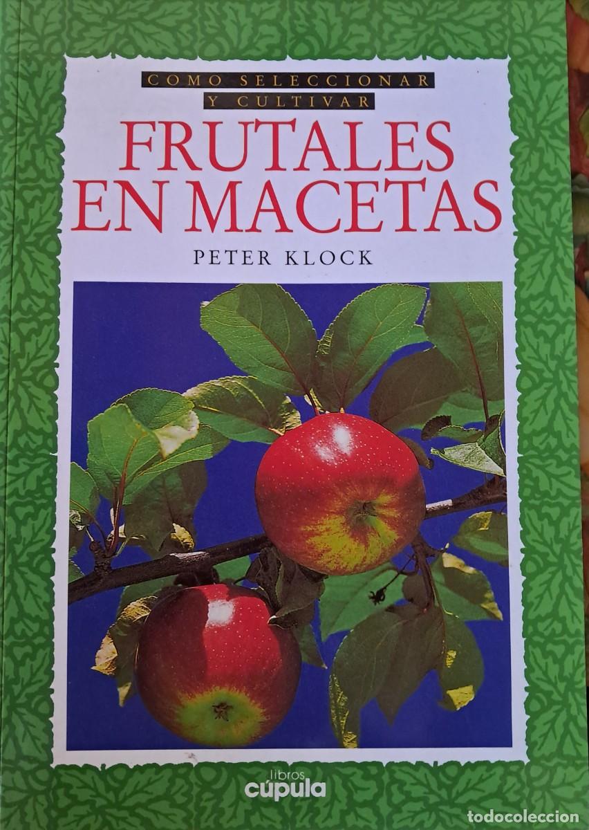 Libros: FRUTALES EN MACETAS por Peter Lock
