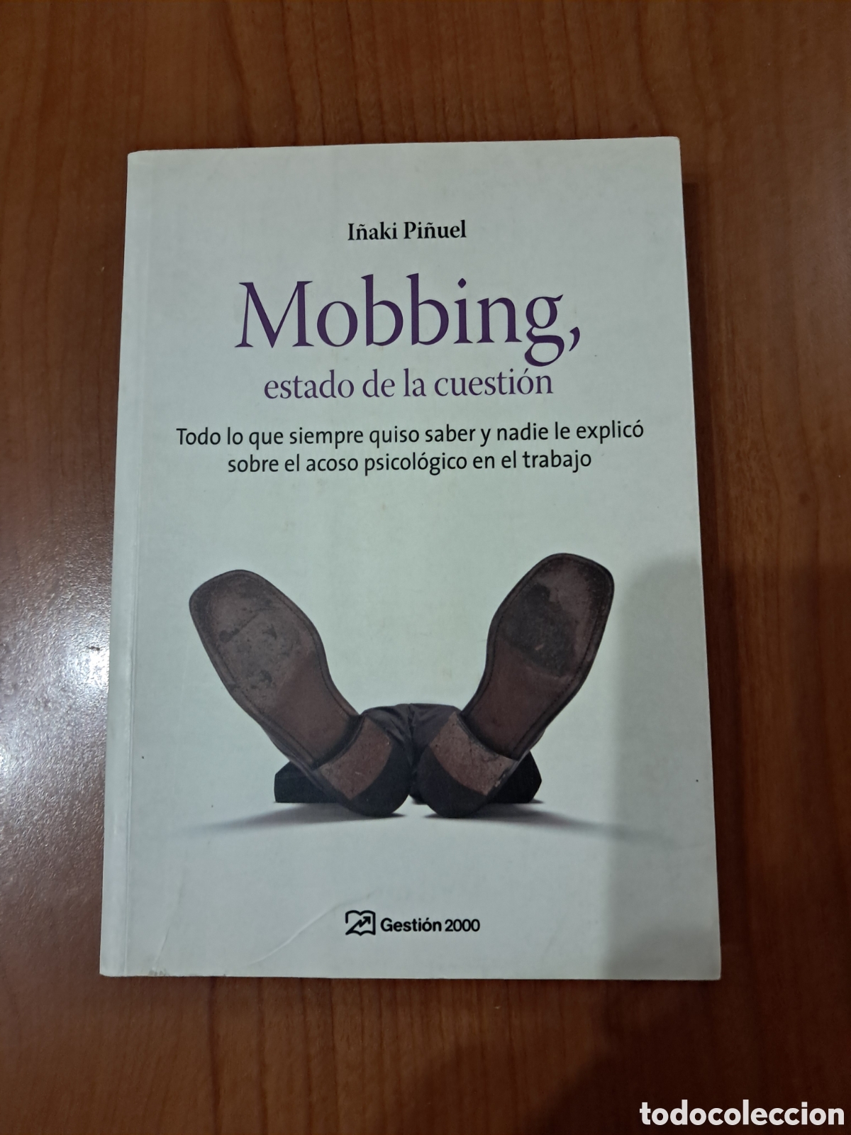 Libros: Mobbing estado de la cuesti&oacute;n I&ntilde;aki Pi&ntilde;uel