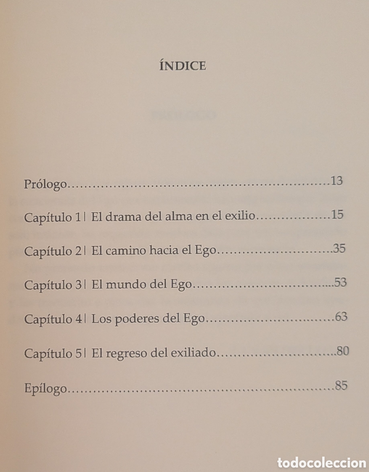 Libros: Dioses en el exilio. J. J. van der Leew - Foto 2