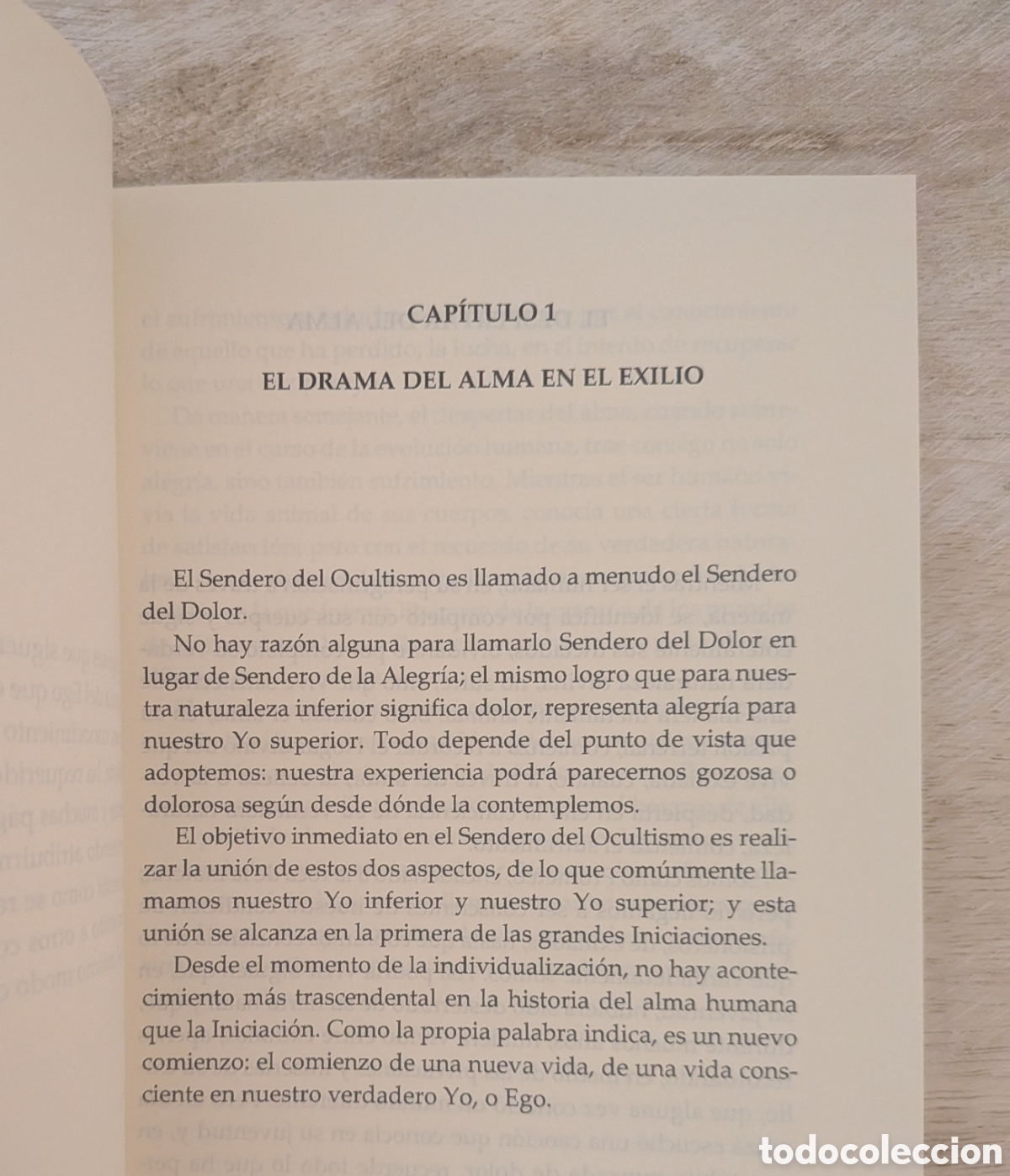 Libros: Dioses en el exilio. J. J. van der Leew - Foto 3