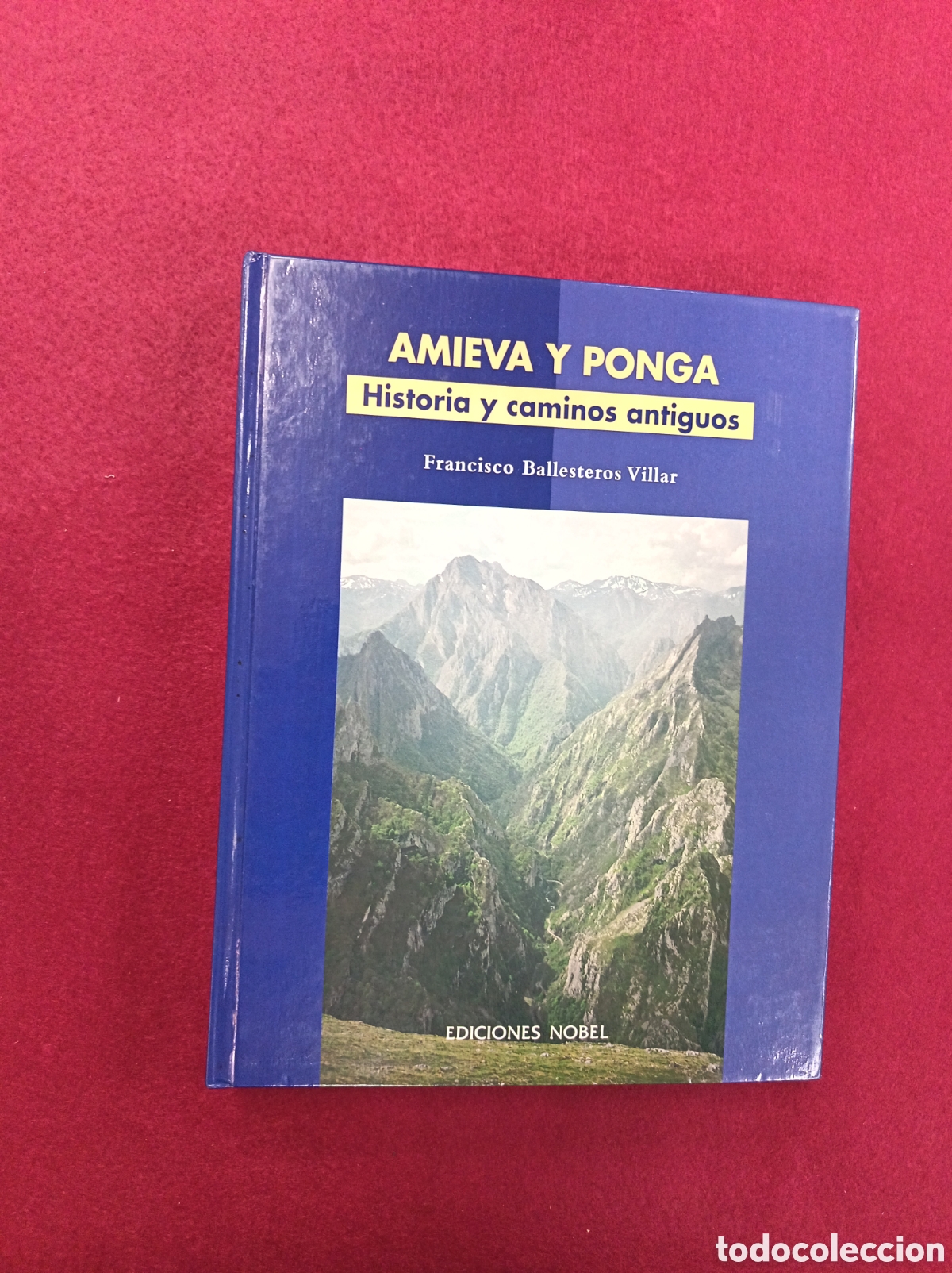 Libros: Amieva y ponga historias y caminos antiguos. Francisco Ballesteros Villar