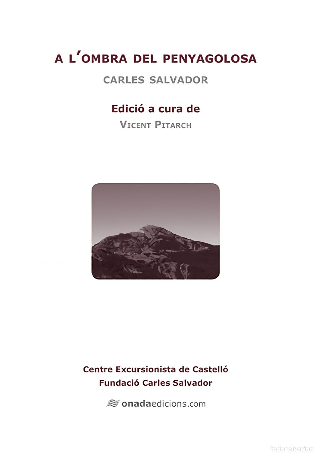 Livros: A L'OMBRA DEL PENYAGOLOSA - SALVADOR I GIMENO, CARLES