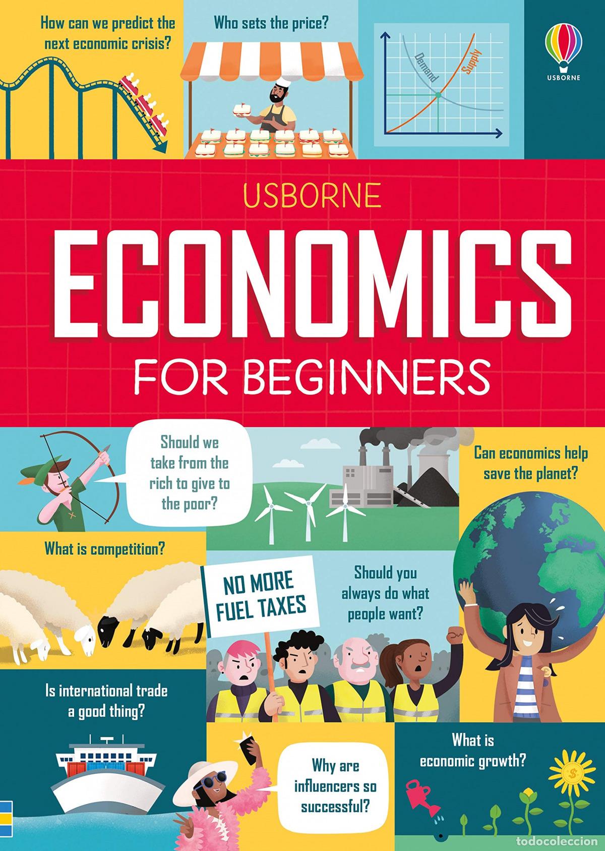 Libros: ECONOMICS FOR BEGINNERS - Varios