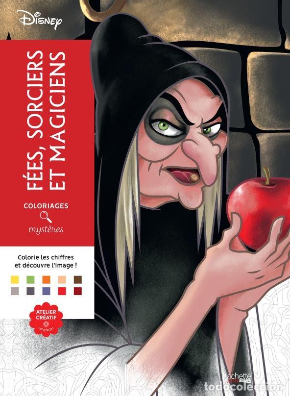 Libri: COLORIAGES MYSTERES DISNEY.FEES,SORCIERS ET MAGICIENS - Frances
