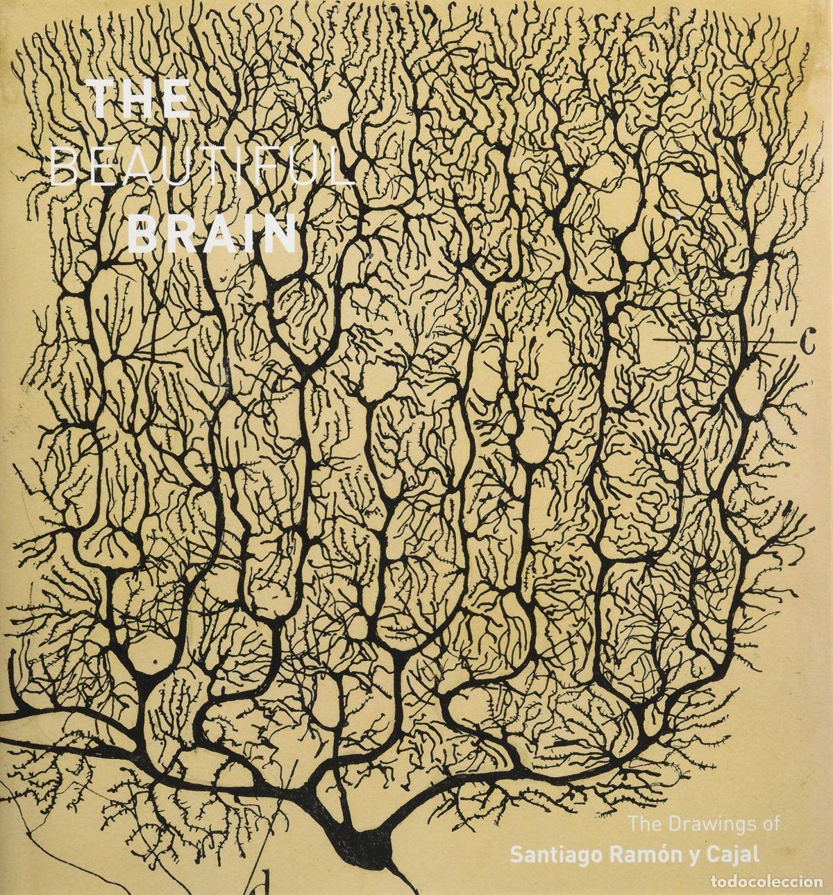 Libros: BEAUTIFUL BRAIN, THE - THE DRAWINGS OF SANTIAGO RAM&Oacute;N Y CAJAL (FEBRERO 2017) - VVAA