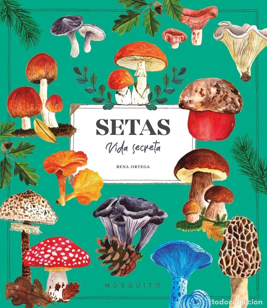 Libros: SETAS. VIDA SECRETA - ORTEGA, RENA
