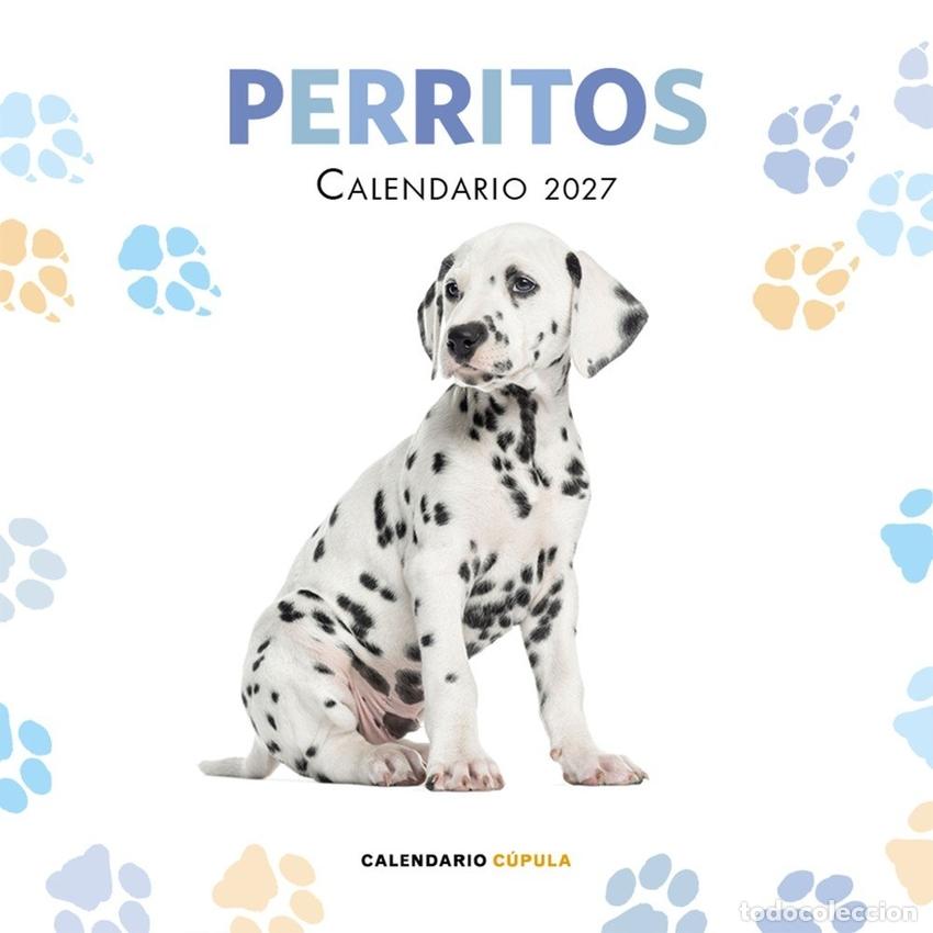 Libri: CALENDARIO PERRITOS 2027 - AA VV