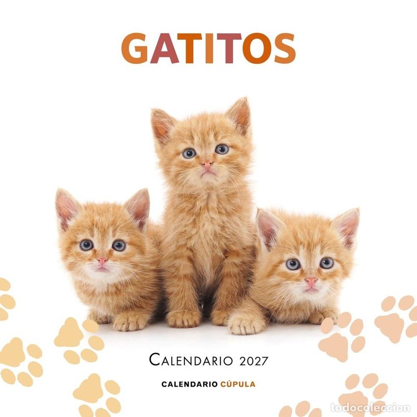 Livros: CALENDARIO GATITOS 2027 - AA VV