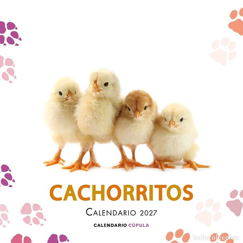 Libros: CALENDARIO CACHORRITOS 2027 - AA VV