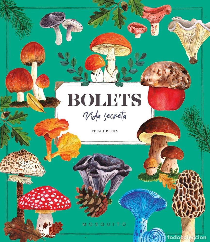 Libri: BOLETS. VIDA SECRETA - ORTEGA, RENA