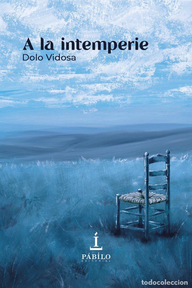 Libros: A LA INTEMPERIE - VIDOSA, DOLO - Foto 1