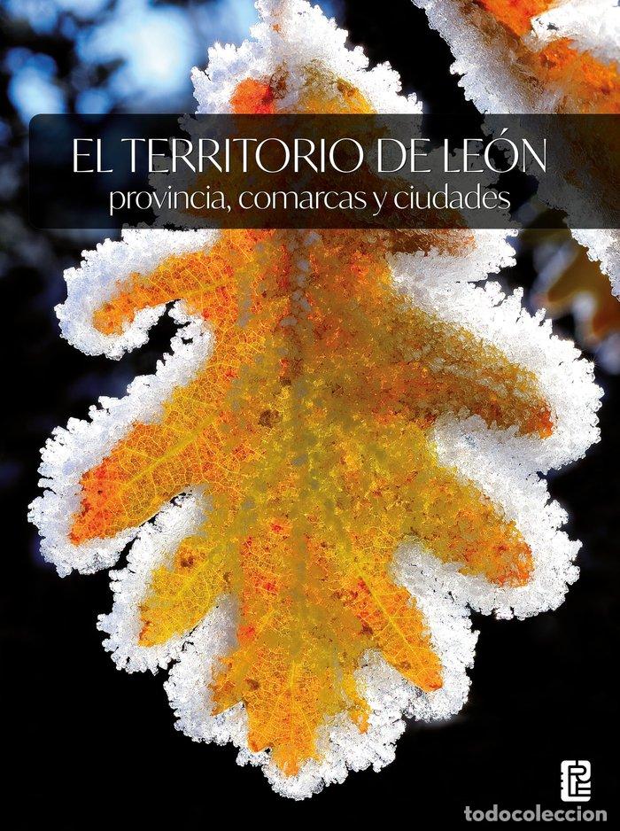 Livros: EL TERRITORIO DE LEON: PROVINCIA, COMARCAS Y CIUDADES - LOPEZ TRIGAL, LORENZO