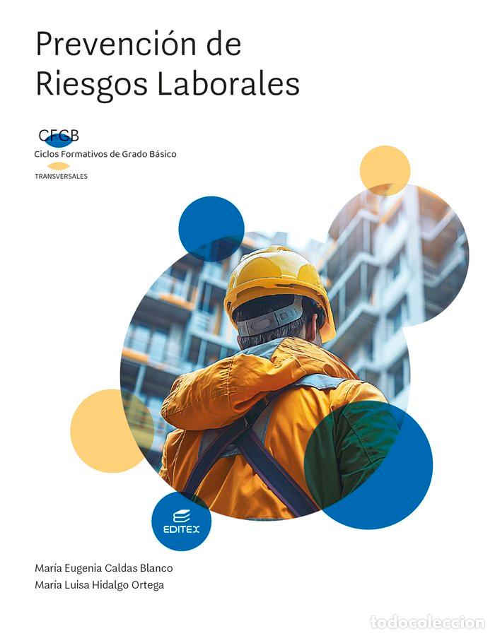 Libros: PREVENCION DE RIESGOS LABORALES GM 24 - CALDAS BLANCO, MARIA EUGENIA