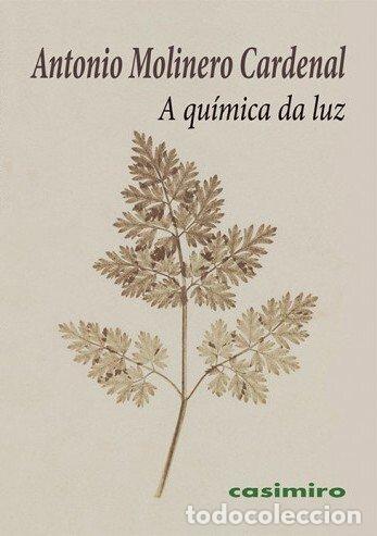 Libros: A QUIMICA DA LUZ - MOLINERO CARDENAL, ANTONIO