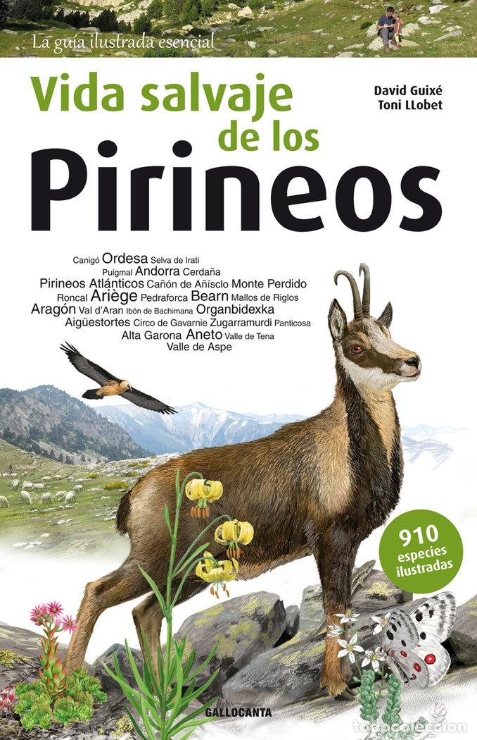 Livros: VIDA SALVAJE DE LOS PIRINEOS - GUIX&Eacute; COROMINES, DAVID