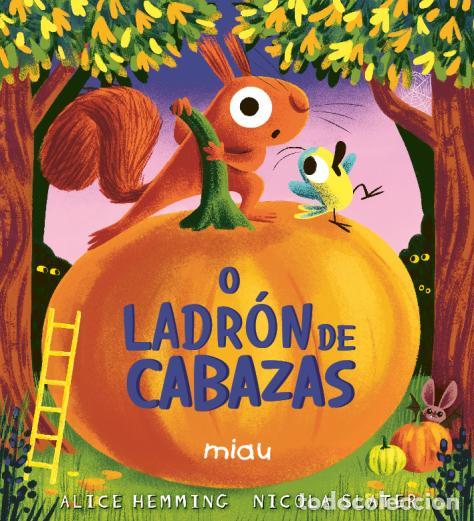 Libros: O LADRON DE CABAZAS - HEMMING, ALICE