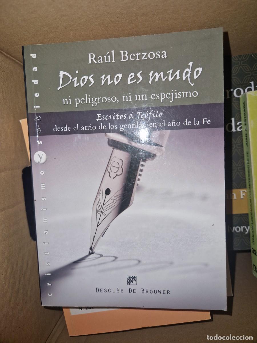 Libros: DIOS NO ES MUDO DE DE RAUL BERZOSA