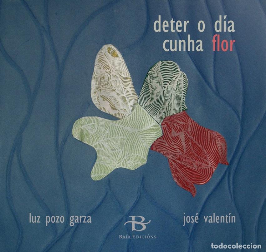 B&uuml;cher: DETER O D&Iacute;A CUNHA FLOR - Pozo, Luz e Valent&iacute;n, Jos&eacute;