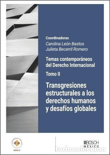 Libros: TRANSGRESIONES ESTRUCTURALES A LOS DERECHOS HUMANOS Y DESAFI - CAROLINA LEON BASTOS