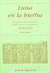 Libri: LUNA EN LA HIERBA - AA.VV