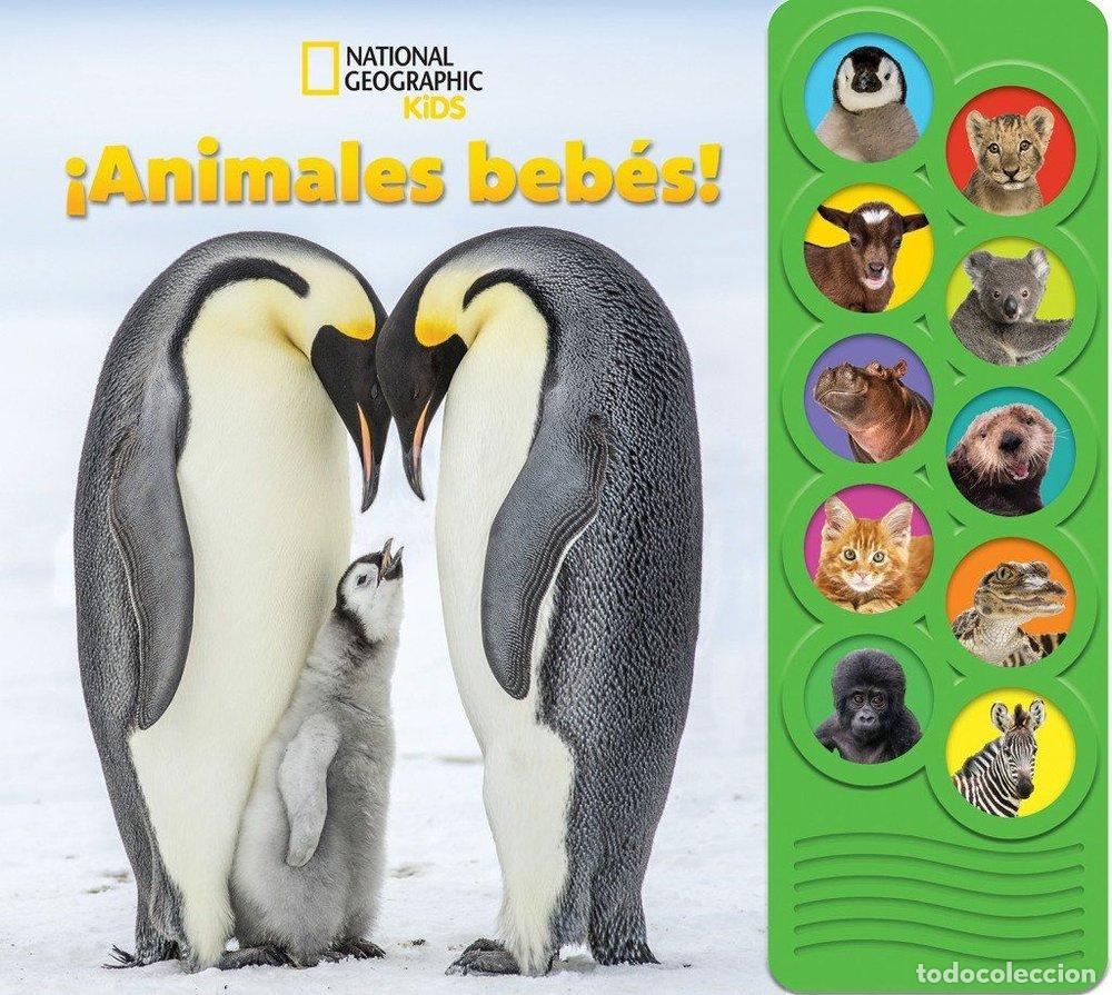 Livres: NATIONAL GEOGRAPHIC KIDS ANIMALES BEBES LIBRO CON 10 BOTON - NATIONAL GEOGRAPHIC