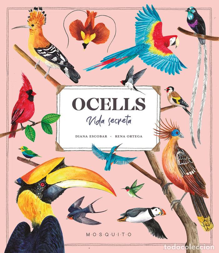 Libros: OCELLS VIDA SECRETA - ESTEBAN, DIANA