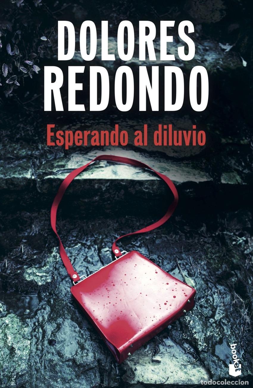Libros: ESPERANDO AL DILUVIO - REDONDO, DOLORES
