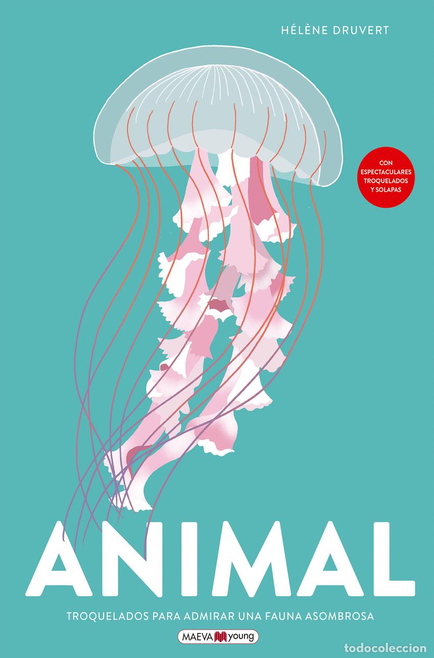 Libros: ANIMAL - DRUVERT, HELENE - Foto 1