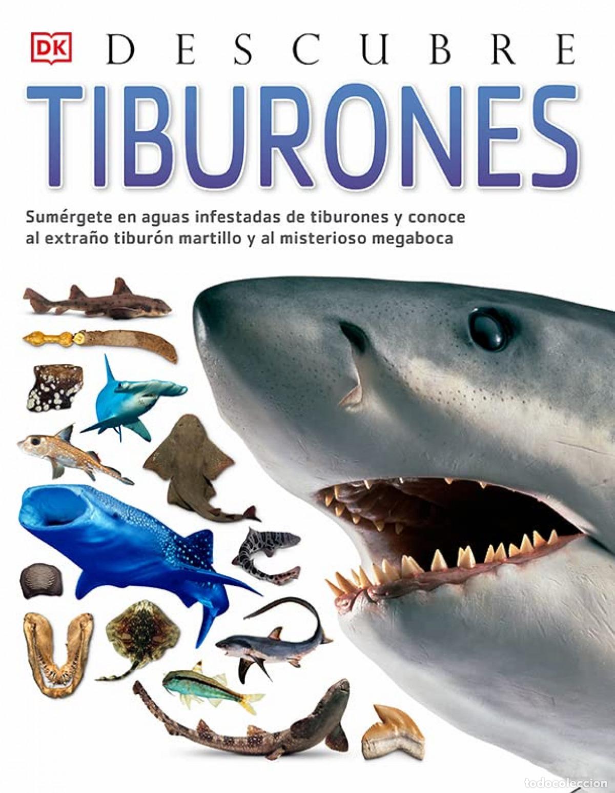 Libros: TIBURONES, DESCUBRE - MACQUITTY, MIRANDA