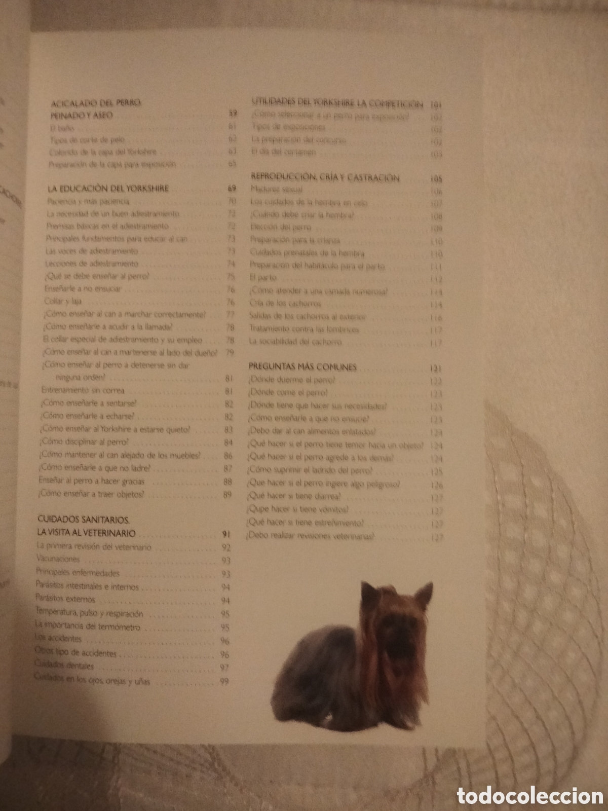 Libros: Yorkshire Terrier animales - Foto 2