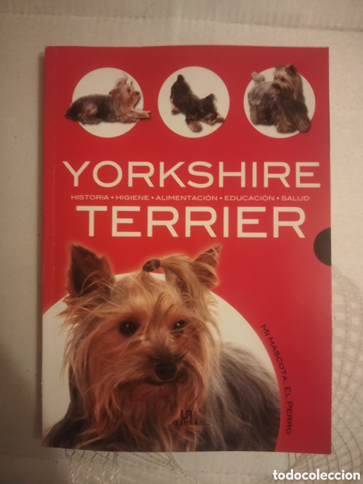 Libros: Yorkshire Terrier animales - Foto 1