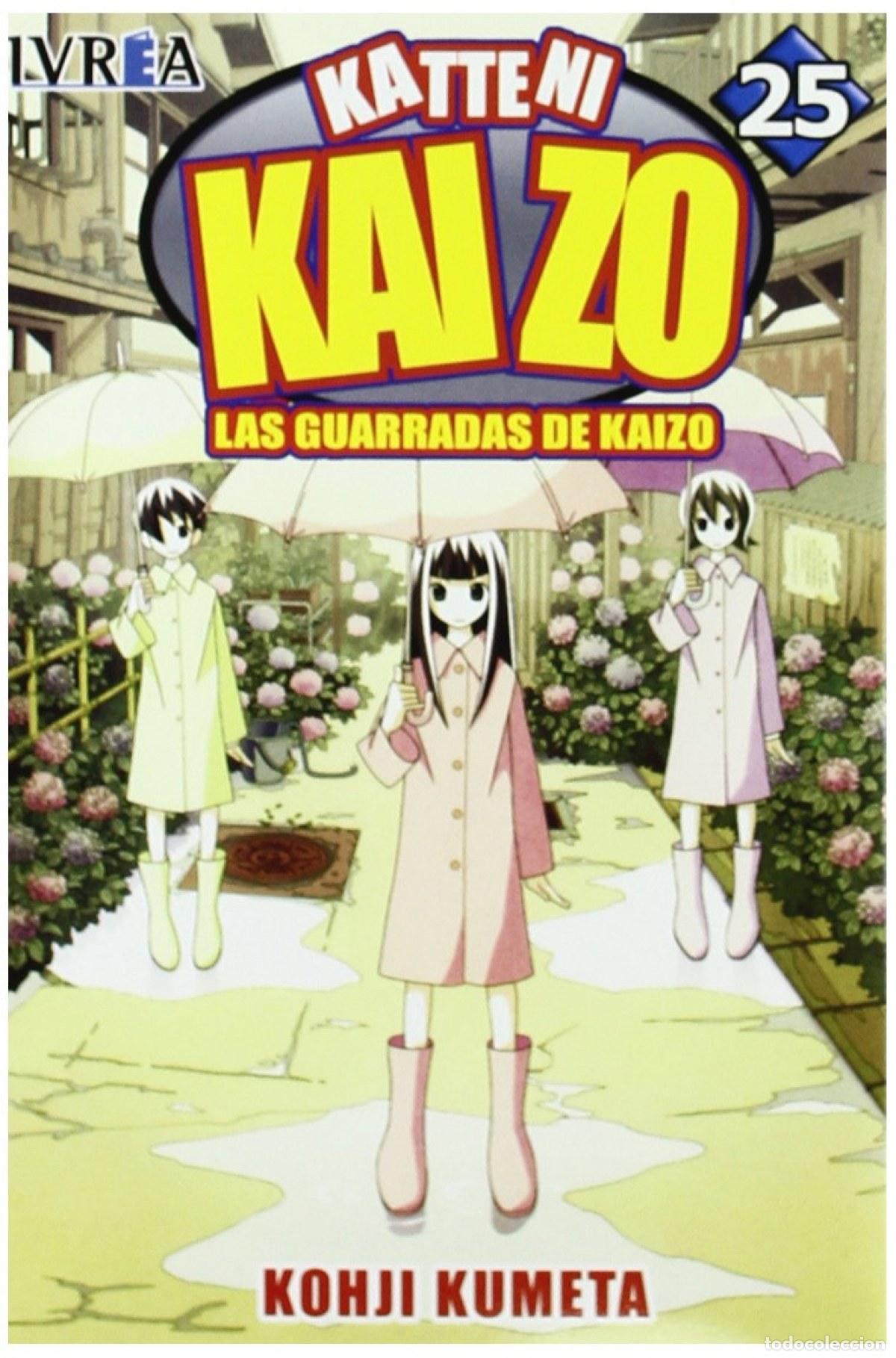 Libros: KATTENI KAIZO,25 - Kumeta, Kohji